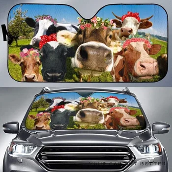 Juokinga Melžiamos Karvės Dėvi Vainikai Ūkyje Automobilio Priekinį Stiklą Saulės Pavėsyje
